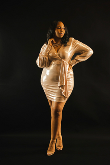 Plus Size Party Dress Bishop Sleeve