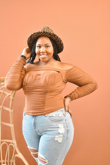 Crop Top Sheer Top
