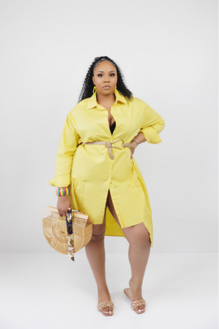 Plus Size Button Down Tunic Dress – Citrus