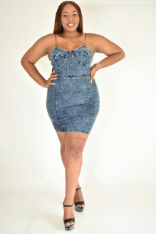 Women's Plus Size Denim Mini Dress (front)
